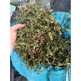 DÂY BÒNG BONG khô sạch, mới 1KG
