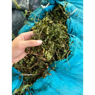 DÂY BÒNG BONG khô sạch, mới 1KG
