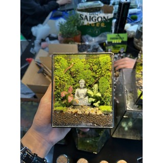 Terrarium " Góc Phật Ngộ " thích hợp làm quà tăng cho người thân tặng kèm đèn đế gỗ