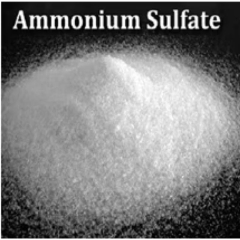 Phân Đạm SA – Amoni Sunphat (1kg) | Shopee Việt Nam