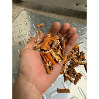 500gam Tang bạch bì khô ( rễ dâu tằm ) loại 1