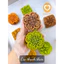 Khuôn Trung thu lò xo Cúc thạch thảo 150g - 1 mặt KH258
