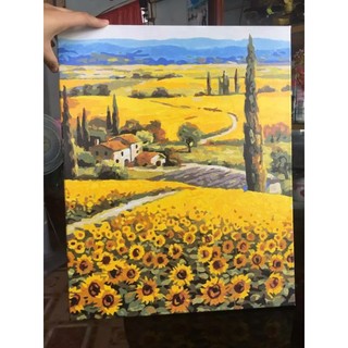 [TỔNG HỢP] Tranh tô màu, Tranh sơn dầu số hóa tự tô Madoca có khung 40x50cm Hoa Hướng Dương
