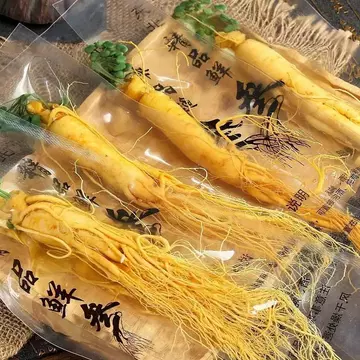 Nhân sâm tươi nguyên củ 20 năm tuổi từ Trường Bạch, ngâm rượu, nấu ăn, pha trà, làm quà tặng, nhân sâm tươi tốt cho sức