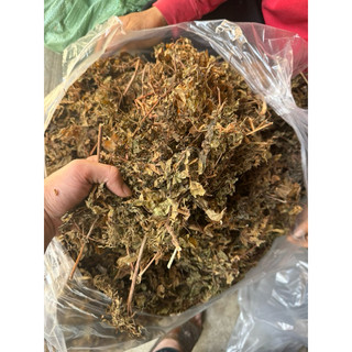 1kg Lá đinh lăng nếp khô, sạch mới LOẠI 1