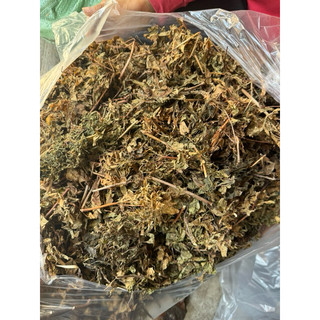 1kg Lá đinh lăng nếp khô, sạch mới LOẠI 1