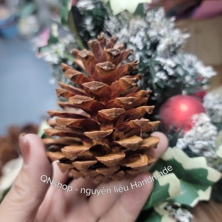 quả thông khô tự nhiên trang trí Giáng Sinh QNshop Handmade