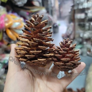100gr quả thông khô tự nhiên ( khoảng 5,6 quả)