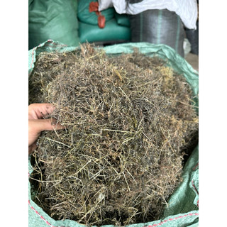 1kg bạch hoa xà ( thiền thảo ) khô sạch, mới LOẠI 1