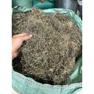 1kg bạch hoa xà ( thiền thảo ) khô sạch, mới LOẠI 1