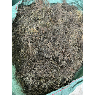 1kg bạch hoa xà ( thiền thảo ) khô sạch, mới LOẠI 1