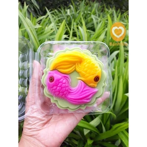Hộp nhựa gập Vuông đựng bánh rau câu/trung thu H127 -BB96