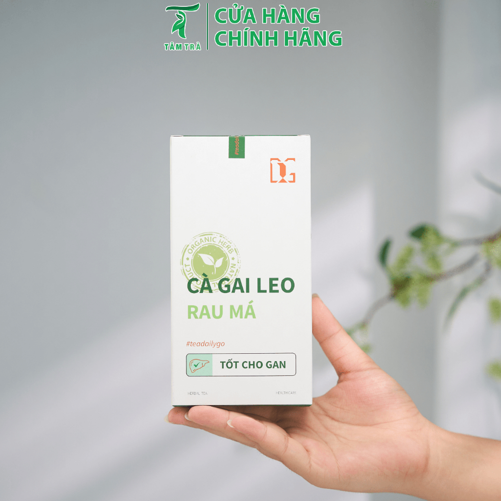 Thiết kế của Lọ Túi