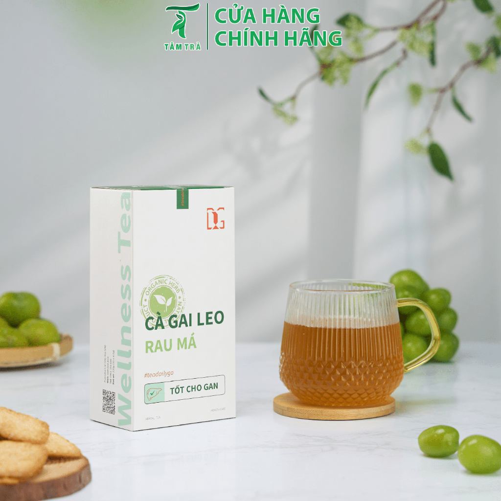 Túi Tiêu Chuẩn - trà túi lọc tâm trà