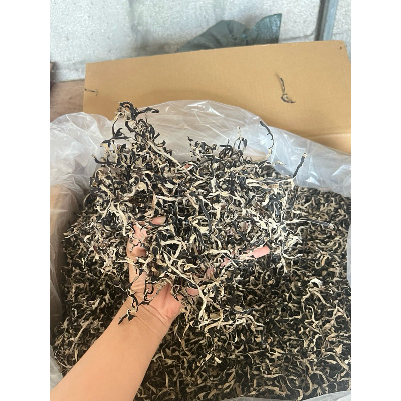 Nấm mèo sợi  (mộc nhĩ) Bảo Châu cắt sợi loại 1 - Ngon Giòn, Không Hóa Chất 500gr