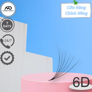 Mi fan 6D LASHES SUPPLY độ cong C - CC - D, độ dày 0.10 1 hộp 1000 fan - dụng cụ nối mi