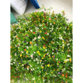 100g - 500g điểm cúc hoạ mi , cúc tana nhựa 💥 điểm cúc tana💥
