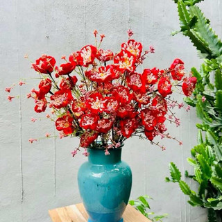 cành trà gạo 💥trà gạo cao cấp 💥