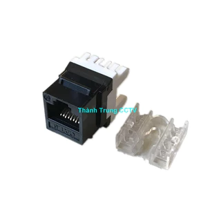 Nhân mạng cat6 lắp cho patch panel Commscope/AMP