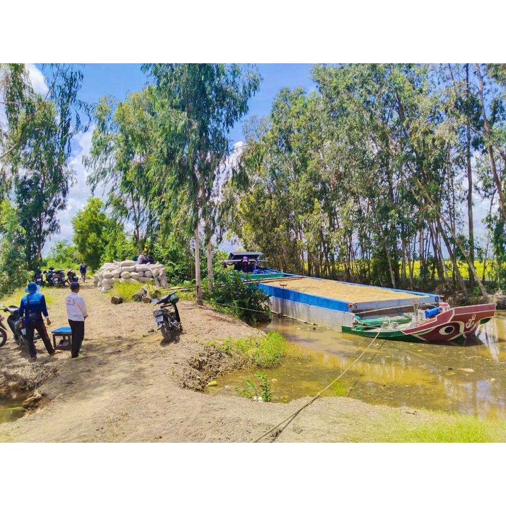 10kg Gạo ST25 Sóc Trăng loại 1 - Lúa mới - dẻo dai thơm, mềm cơm - Không chất bảo quản, không chất tạo mùi