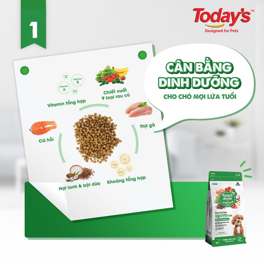 [5KG] TODAY'S DINNER DOG - Thức ăn hạt Today cho chó mọi lứa tuổi nhập khẩu Hàn