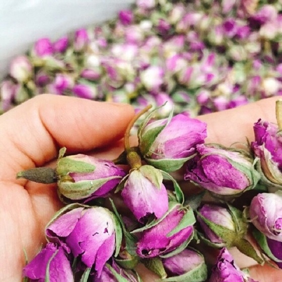 Sử Dụng Trà Nụ Hoa Hồng Cao Cấp Trong Đời Sống