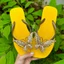 DÉP XỎ NGÓN NỮ GẮN CHARM BỨM VÀNG (GOLD) LẤP LÁNH MIX 18 MÀU ĐẾ CAO SU ÊM ÁI