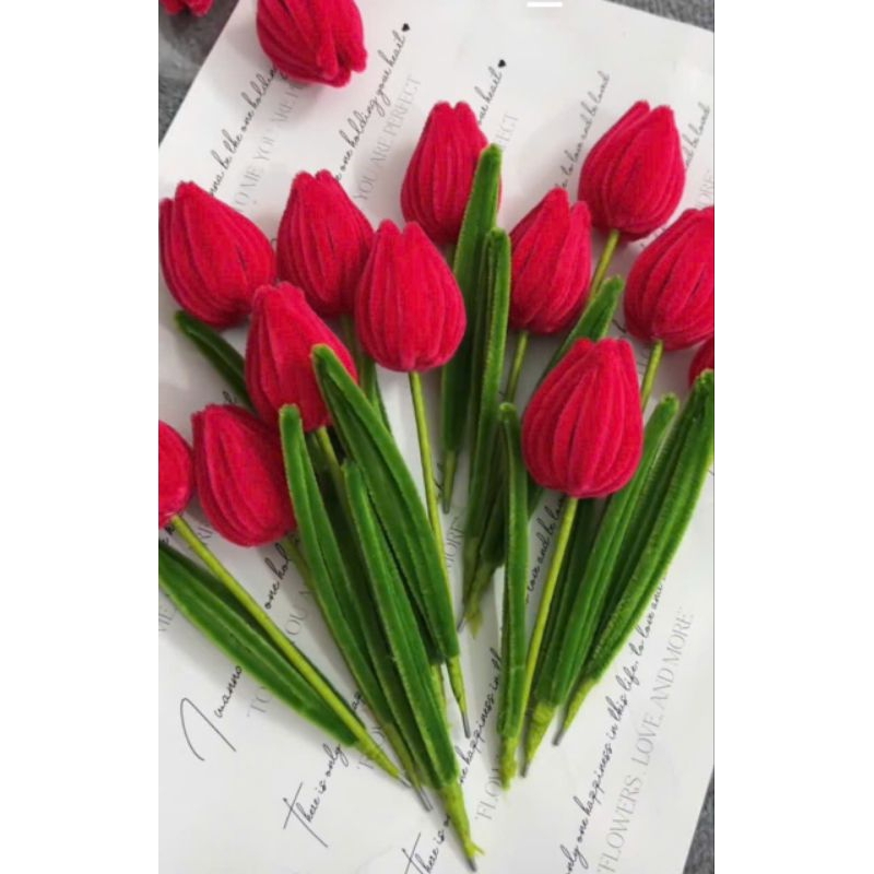 Hoa Tulip Kẽm Nhung Siêu Rẻ, Quà Tặng Siêu Đẹp