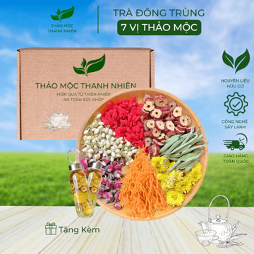 Trà Đông Trùng Hạ Thảo 7 Vị Thảo Mộc Chống Lão Hóa, Mát Gan, Ngủ Ngon,Hộp 30Gói Thảo Mộc Thanh Nhiên