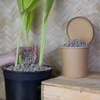 Nhà Thương Cây - ĐÁ BỌT PUMICE - ĐÁ ĐỂ TRỘN ĐẤT
