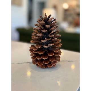 quả thông khô tự nhiên trang trí Giáng Sinh QNshop Handmade