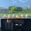 Bộ sưu tập mô hình dán đỉnh màn hình máy tính, TV decor màn hình ô tô, trang trí gương xe, làm quà tặng