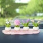 Bộ sưu tập set mô hình bày taplo ô tô, trang trí bàn làm việc