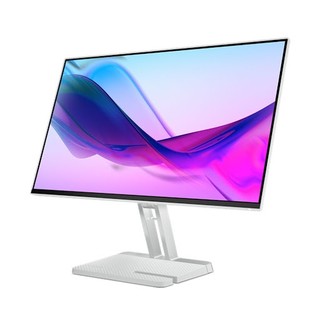 Màn hình Lenovo L24i-4A-67BCKAC6VN 23.8 inch (1920x1080/IPS/100Hz/1ms) - Bảo hành 36 tháng
