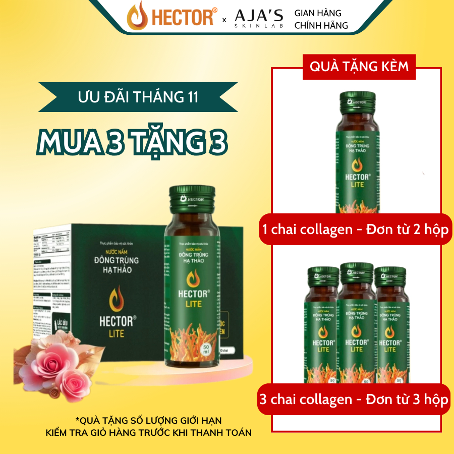 Ảnh Nước Nấm Đông Trùng Hạ Thảo Hector Lite (50ml x 10 chai) 1