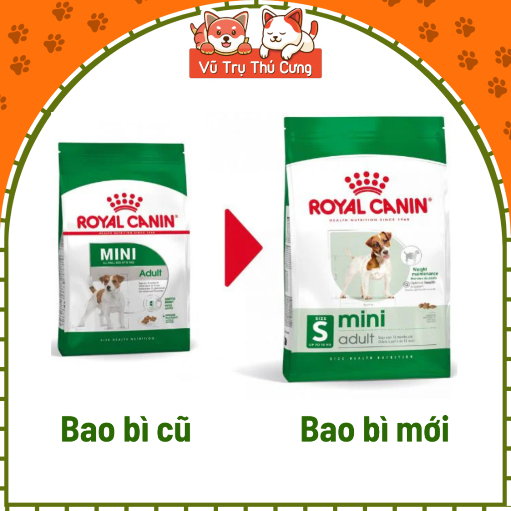 Hạt cho chó trưởng thành Royal Canin Mini Adult