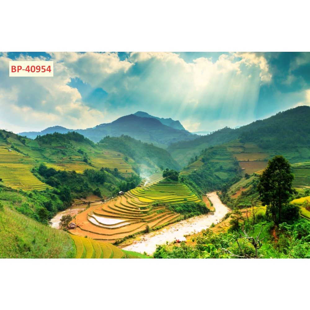 Tranh lụa trang trí phong cảnh ruộng bậc thang núi rừng Tây Bắc đẹp