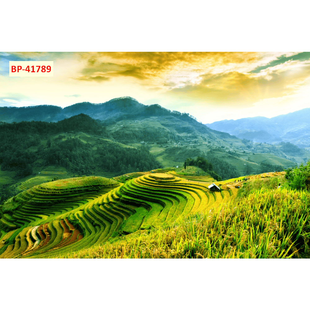 Tranh lụa trang trí phong cảnh ruộng bậc thang núi rừng Tây Bắc đẹp