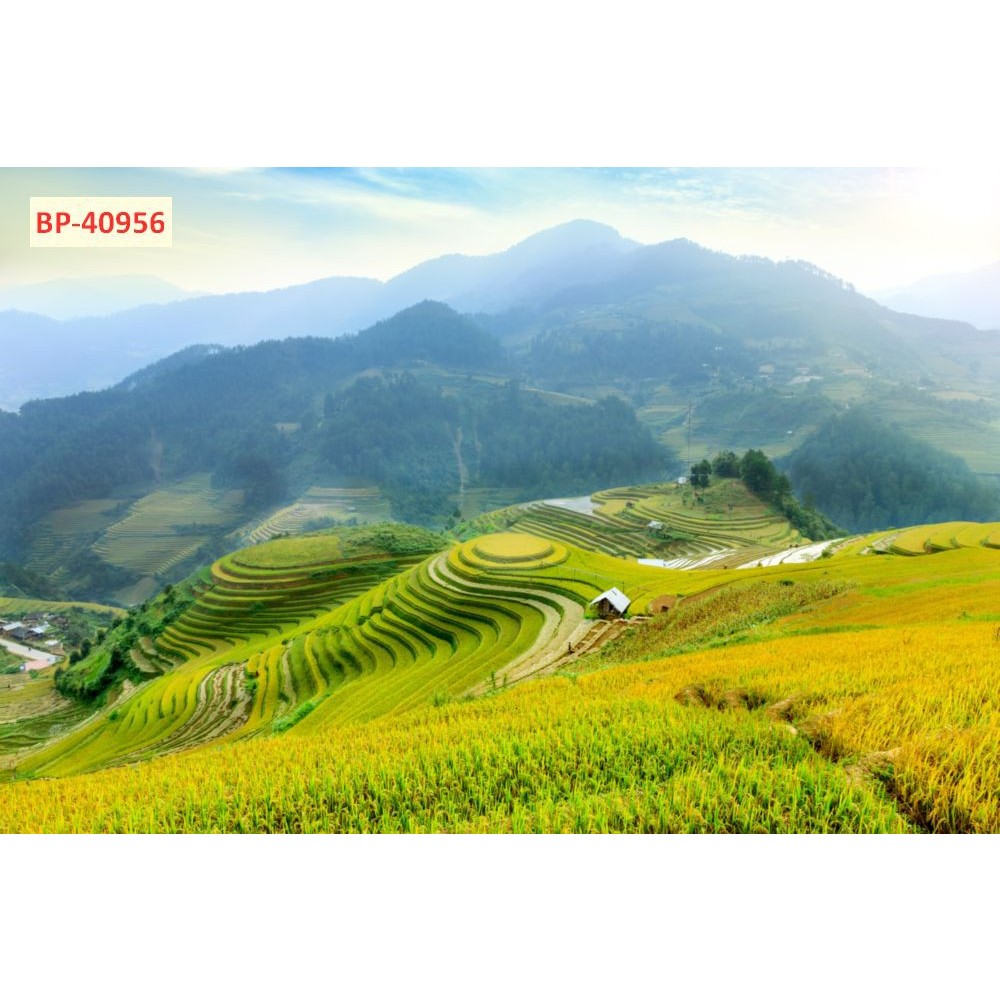 Tranh lụa trang trí phong cảnh ruộng bậc thang núi rừng Tây Bắc đẹp