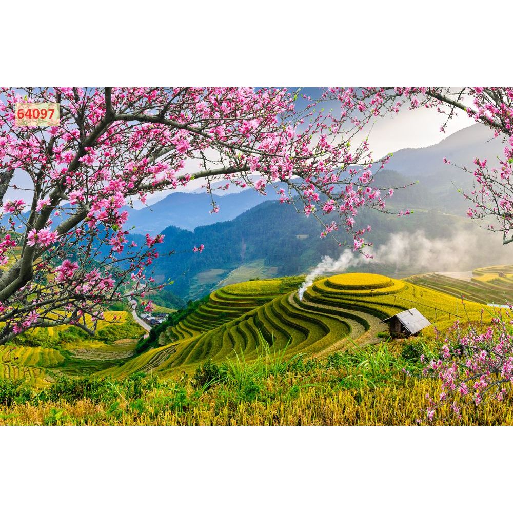 Tranh lụa trang trí phong cảnh ruộng bậc thang núi rừng Tây Bắc đẹp