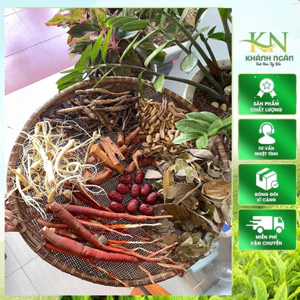 Set 8 vị đại bổ thận dương ( Sâm cát cánh,sâm tiên mao,sâm cau đỏ ,lá dâm dương hoắc, lên bình cực chất giá cực mềm 2kg