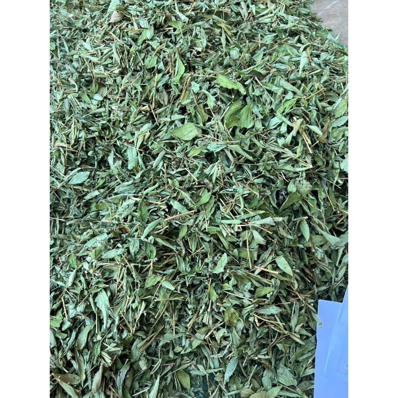 Cỏ ngọt sấy khô, tốt cho người tiểu đường, ổn định đường huyết, giảm cân, chống béo phì 1kg