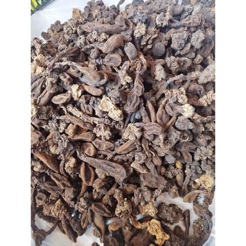 Nấm ngọc cẩu( khô nguyên búp to ,thơm,sạch) chuẩn rừng Tây Bắc 500gr-1kg