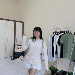 Áo dài tay 3 màu form rộng, họa tiết thêu ngựa bassic, chất vải cotton co giãn dày dặn, áo thun dài tay nữ