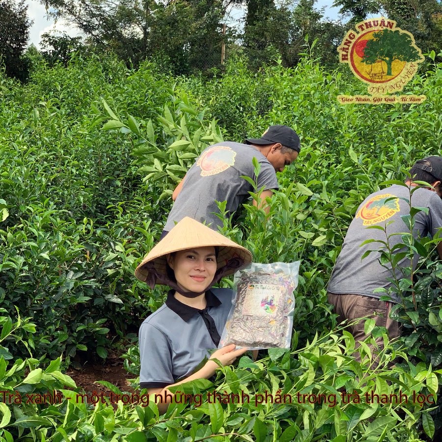 Trà Thảo Mộc Thanh Lọc Cơ Thể Hằng Thuận Tây Nguyên