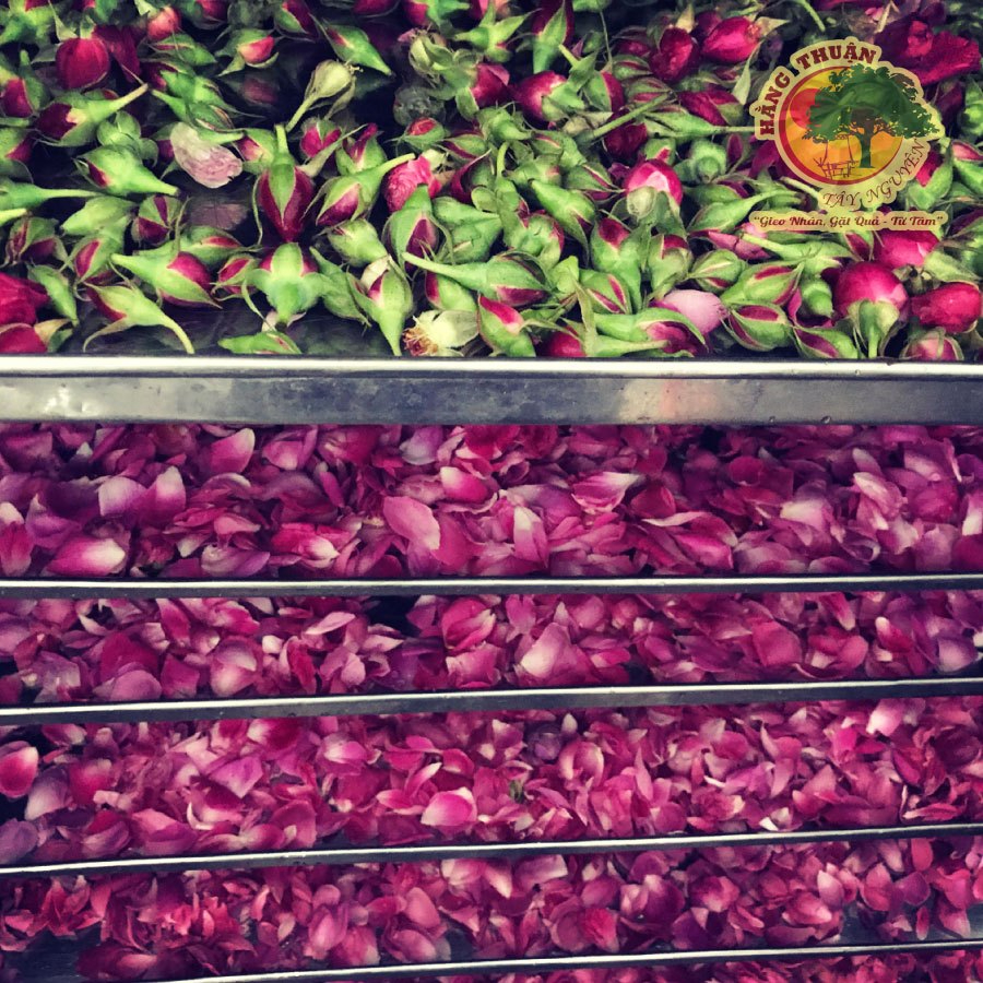 Trà Thảo Mộc Thanh Lọc Cơ Thể Hằng Thuận Tây Nguyên