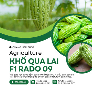 Hạt Giống Khổ Qua Lai F1 RADO 09 (Gói 2g~10 Hạt) Rạng Đông, Trái Ngắn, Cây Chịu Nhiệt Tốt, Quanh Năm