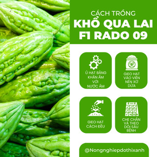 Hạt Giống Khổ Qua Lai F1 RADO 09 (Gói 2g~10 Hạt) Rạng Đông, Trái Ngắn, Cây Chịu Nhiệt Tốt, Quanh Năm