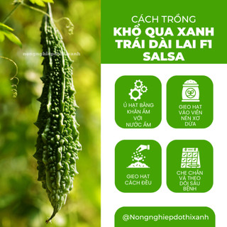 Hạt Giống Khổ Qua Xanh Trái Dài Salsa RADO (Gói 5 Hạt) Rạng Đông, Trồng Quanh Năm, Trái Sai