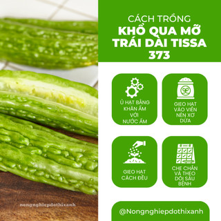 Hạt giống Khổ Qua Mỡ Trái Dài Rado 373 (2gram~10 hạt) chịu nhiệt tốt, trồng quanh năm, năng suất cao